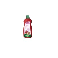 CHRYSAL Orchideen Dünger 1000 ml