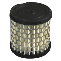 Luftfilter p.f. Briggs &amp; Stratton, 4 &amp; 5 PS